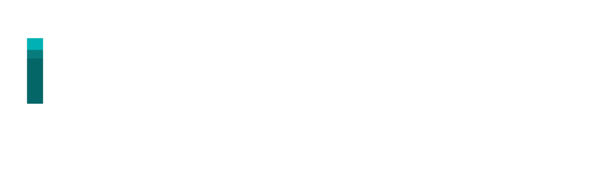 IQUEENTECH - Professional Beauty & Aesthetic Equipment Manufacturer Logo