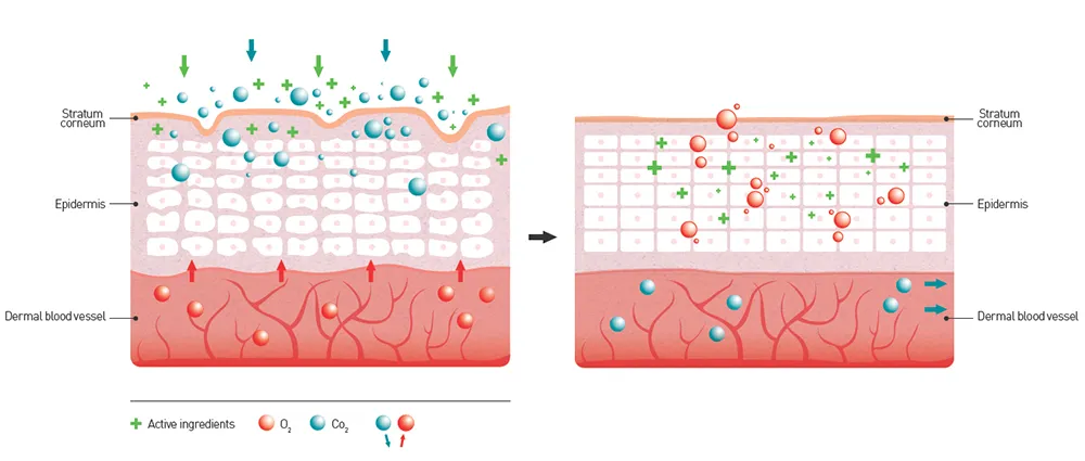Diagram showing Bohr Effect working principle for oxygen facial machine, CO2 microenvironment triggers internal skin oxygenation and nutrient absorption