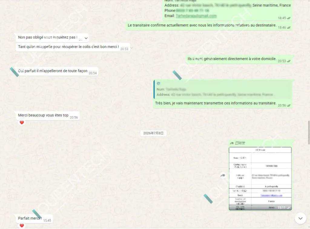 Chat screenshot confirming consignee delivery details with French customer for hydro dermabrasion facial machine shipment, submit recipient address information to freight forwarder